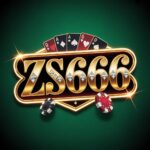zs666 game