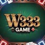 W333 Game