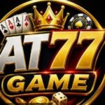 AT77 Game
