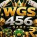 wgs456 Game