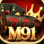 M91 Game