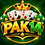 PAK14 Game