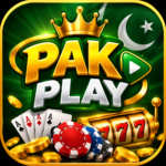 PAKPLAY Game