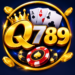 Q789 Game